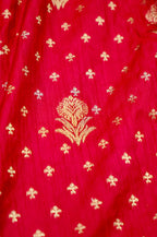 Deep Red Banarasi Dola Silk Saree with  Lavender Border and Palu